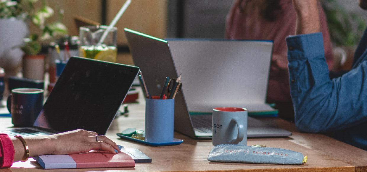 כוס לעטים בשני צבעים