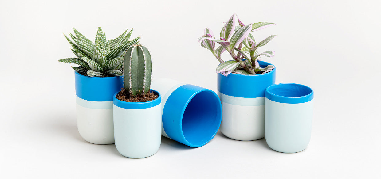 פלנטר מיני – אושן