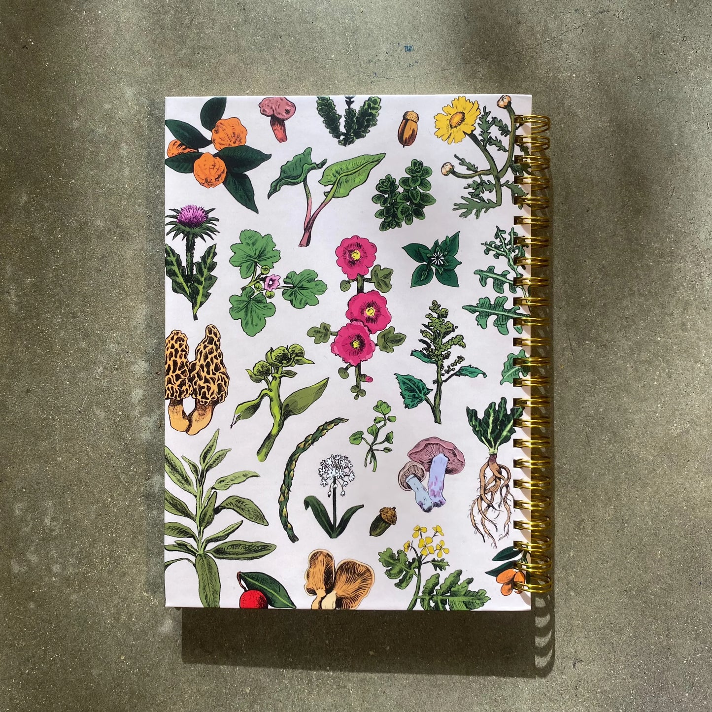 מחברת ספירלה | ליקוטי חורף