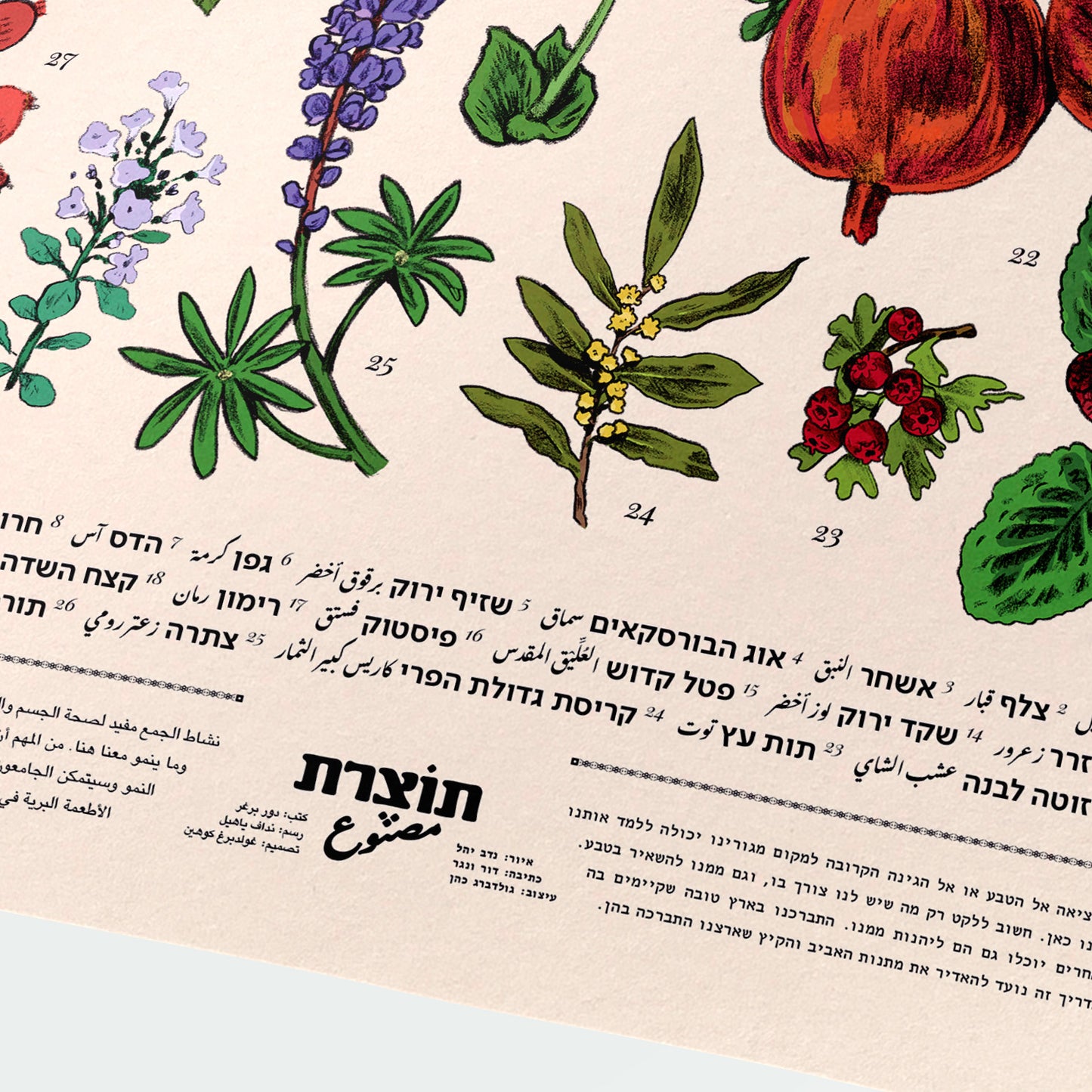 הדפס ליקוטי קיץ | סדרת תוצרת