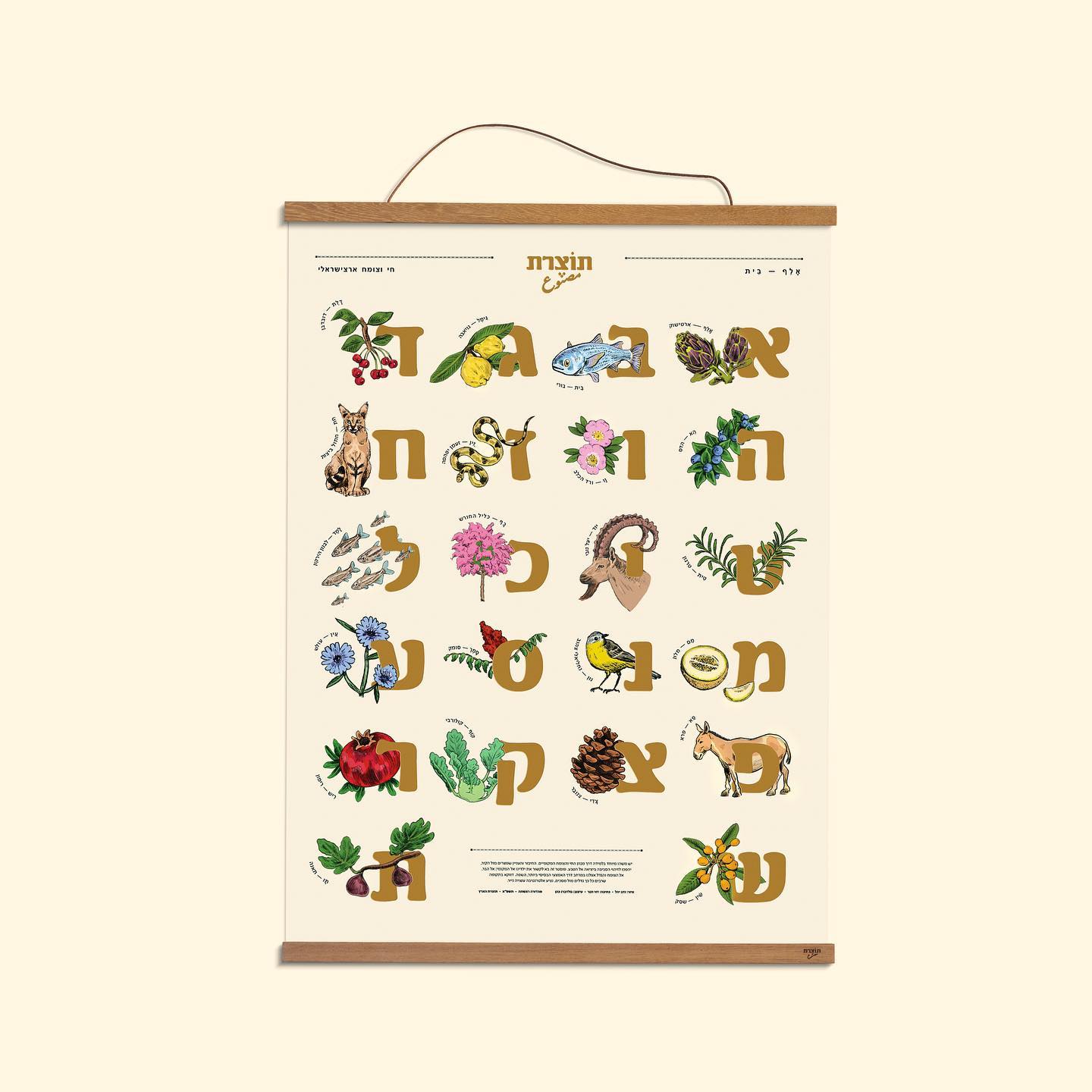 הדפס א-ב ליקוטים | סדרת תוצרת