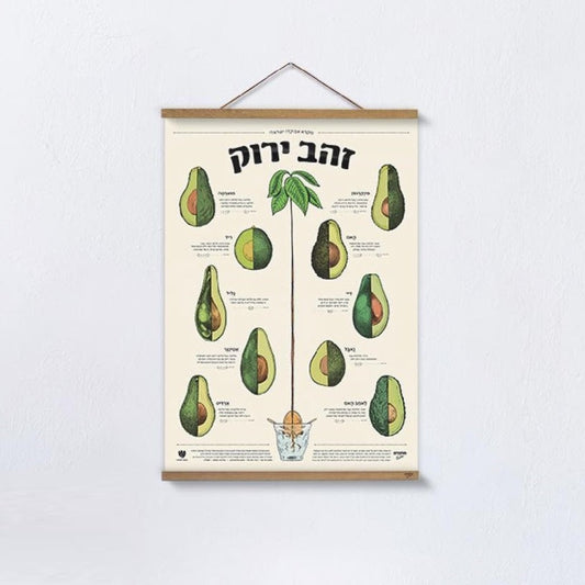 מארז "זהב ירוק" - פוסטר אבוקדו + מתלה עץ מגנטי