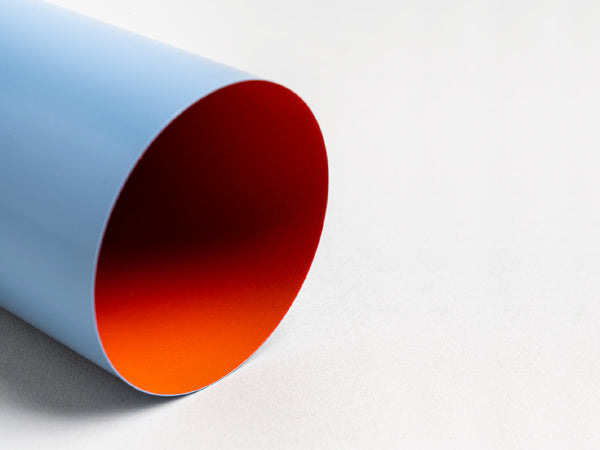 כוס לעטים בשני צבעים