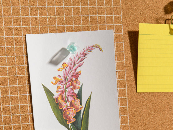 נעצי סוכריות מנטה בצנצנת – 60 יח'