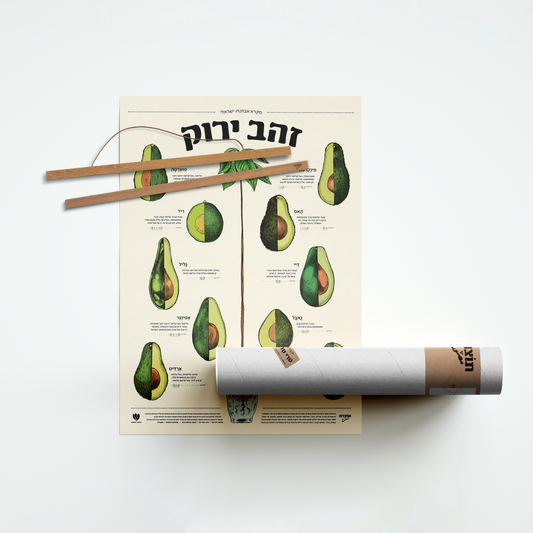 מארז "זהב ירוק" - פוסטר אבוקדו + מתלה עץ מגנטי