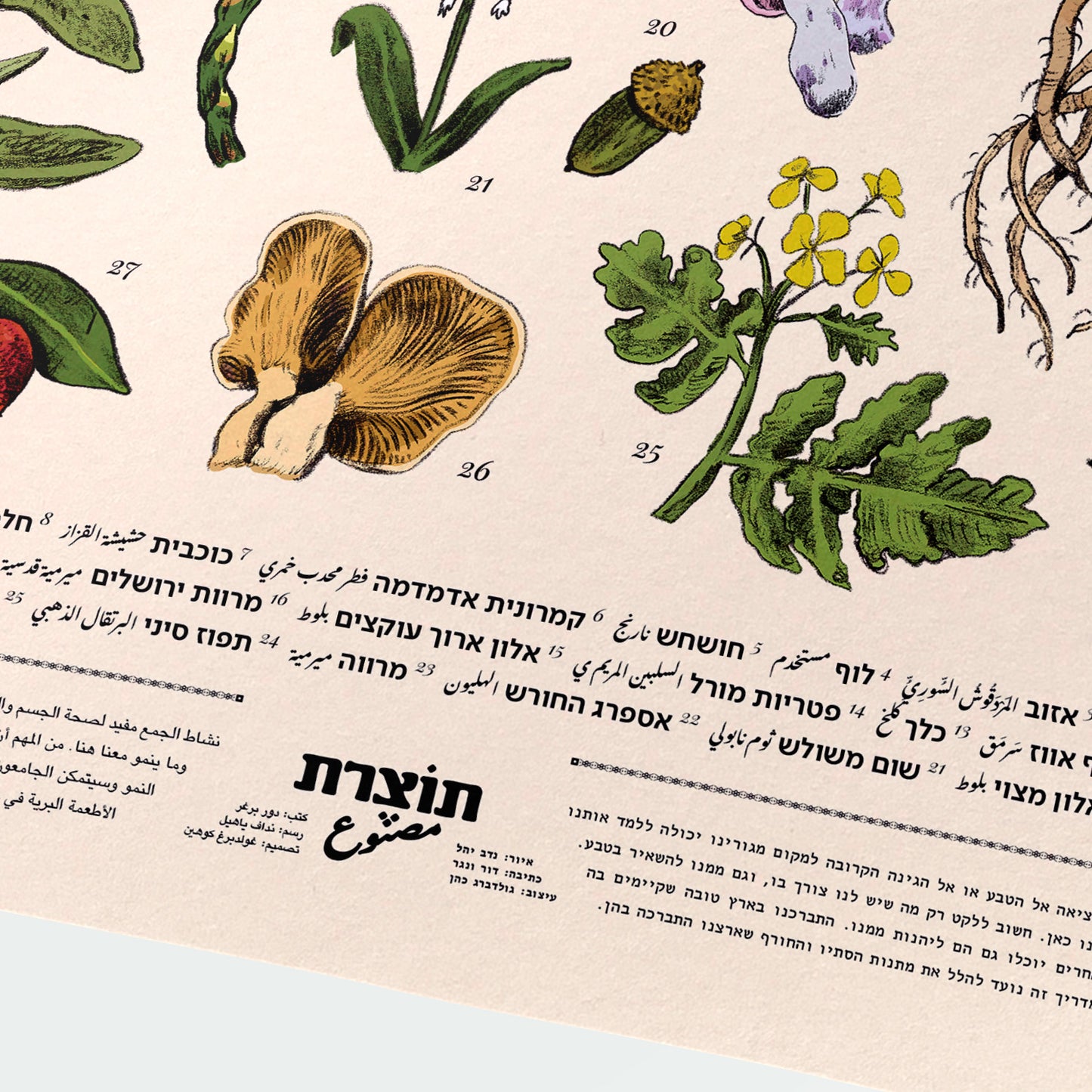 הדפס ליקוטי חורף | סדרת תוצרת