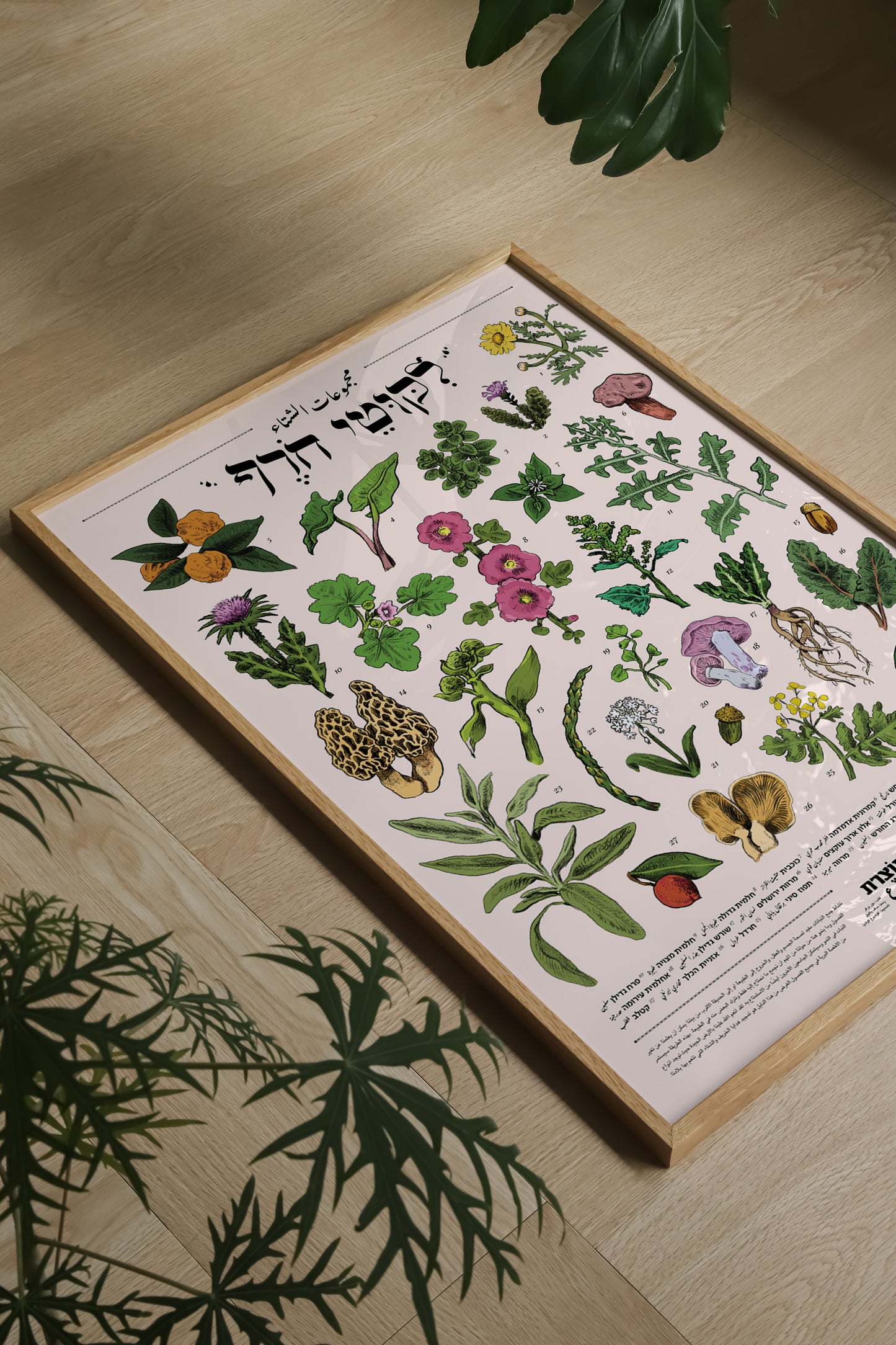 הדפס ליקוטי חורף | סדרת תוצרת