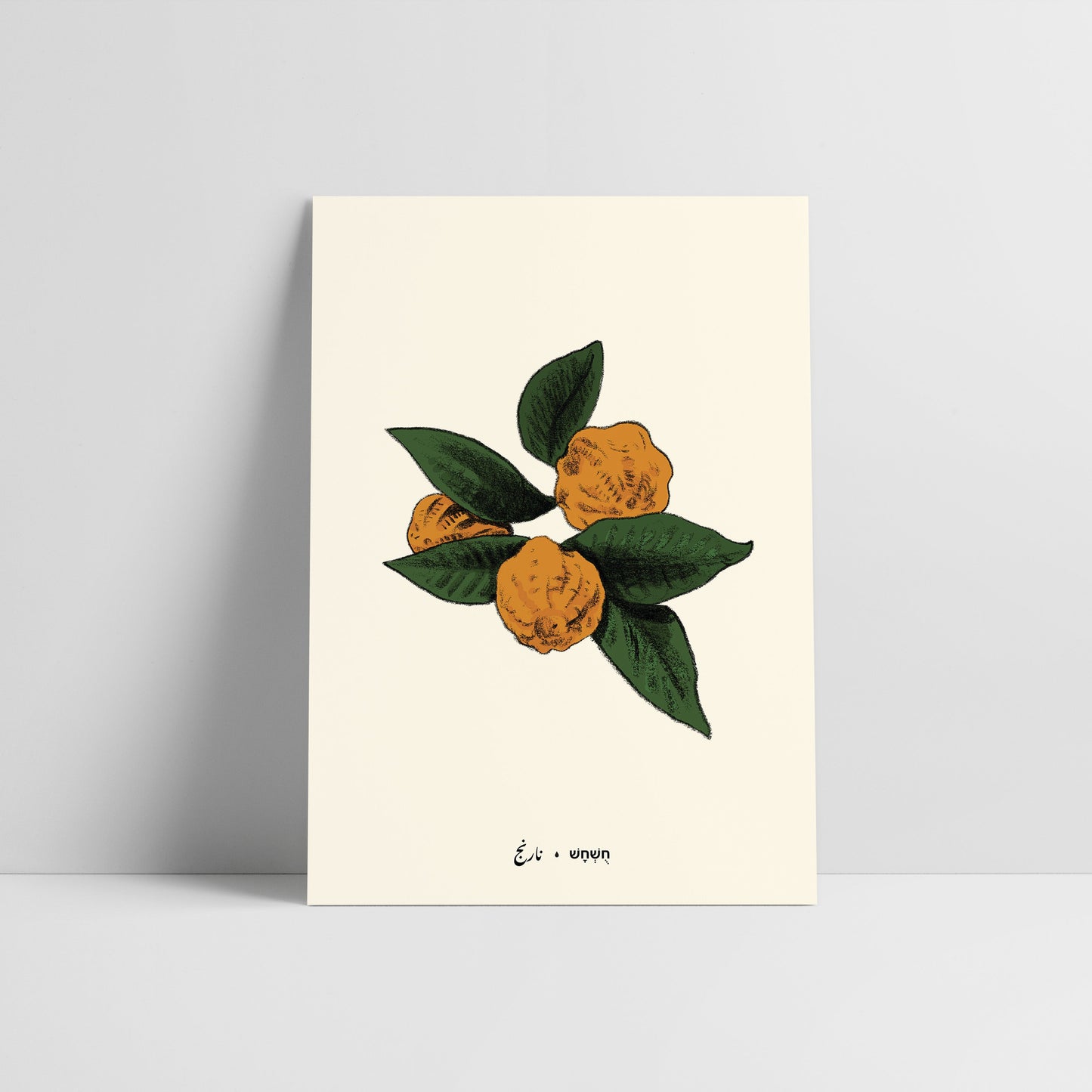 מארז 8 גלויות ליקוטים- הסט השלם | תוצרת