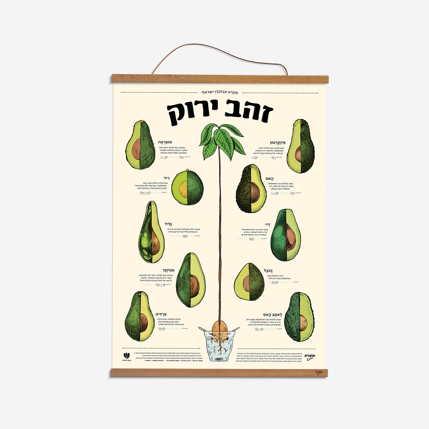 הדפס אבוקדו בוטני ״זהב ירוק״