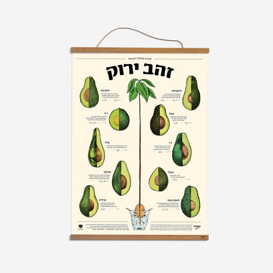 הדפס אבוקדו בוטני ״זהב ירוק״