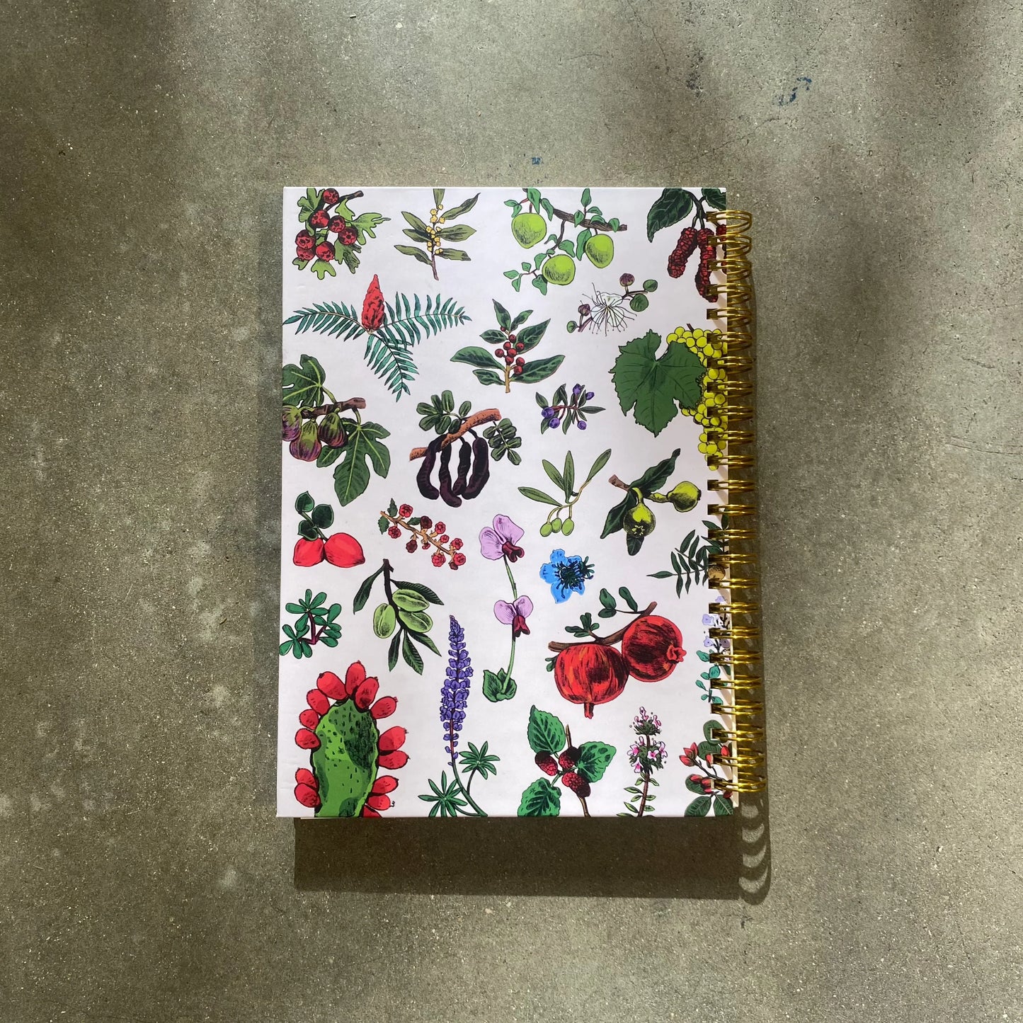 מחברת ספירלה | ליקוטי קיץ