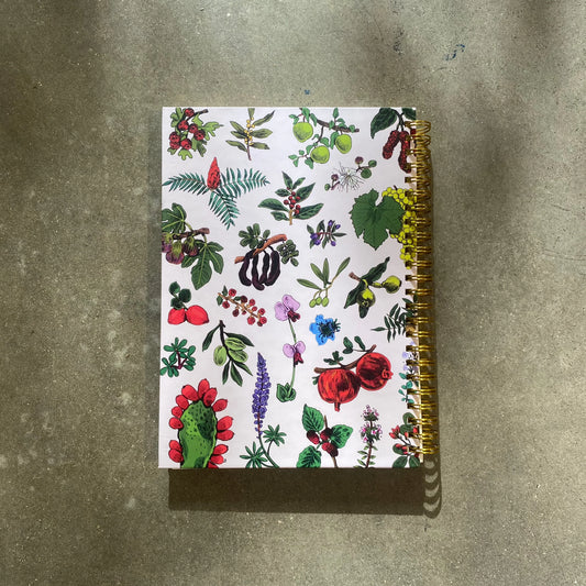 מחברת ספירלה | ליקוטי קיץ