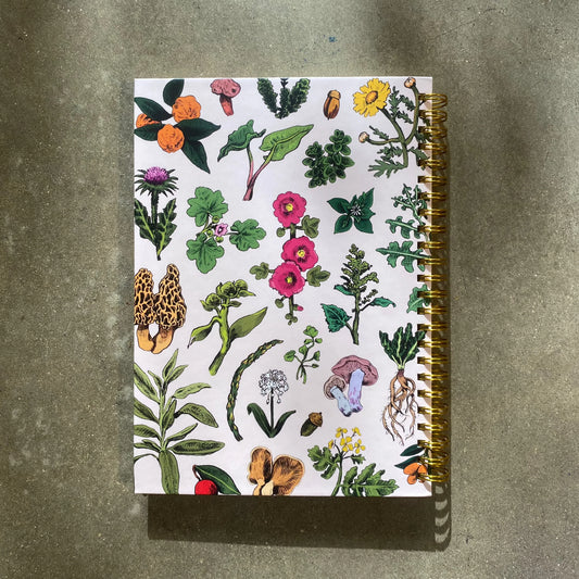 מחברת ספירלה | ליקוטי חורף