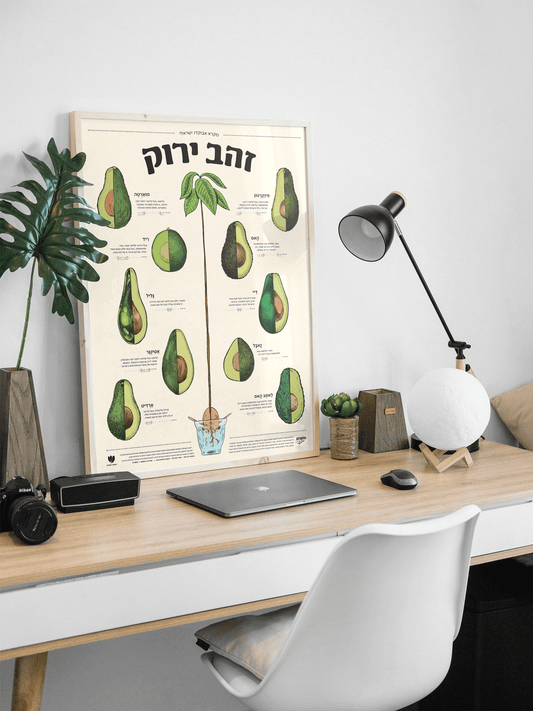 הדפס אבוקדו בוטני ״זהב ירוק״