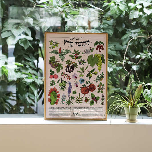 הדפס ליקוטי קיץ | סדרת תוצרת