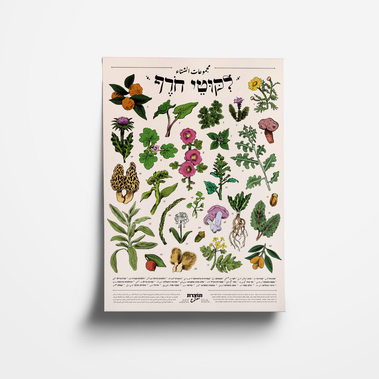 הדפס ליקוטי חורף | סדרת תוצרת