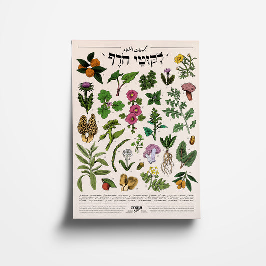 הדפס ליקוטי חורף | סדרת תוצרת