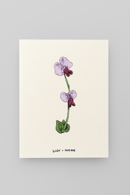 גלויית ליקוטים | אפון קיפח | 10 גלויות במארז